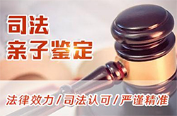 河北司法亲子鉴定如何收费，河北正规的司法DNA鉴定机构在哪