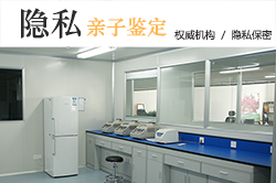 河北亲子鉴定咨询机构到哪,河北亲子鉴定办理流程 河北亲子鉴定咨询机构到哪,河北亲子鉴定办理流程