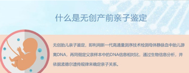 河北怀孕6个月可以做产前亲子鉴定吗,河北办理无创产前亲子鉴定多少费用