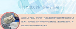 河北怀孕亲子鉴定机构结果需要多久，河北孕期亲子鉴定到哪里