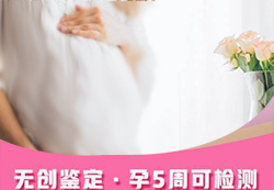 河北孕期亲子鉴定大概收费,河北孕期亲子鉴定需要怎么办理 河北孕期亲子鉴定大概收费,河北孕期亲子鉴定需要怎么办理