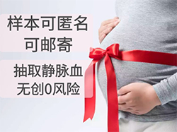 在[河北]怀孕几个月如何做亲子鉴定，河北孕期亲子鉴定大概多少费用