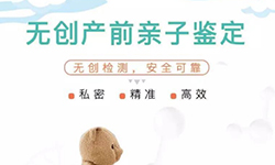 河北刚怀孕如何办理胎儿DNA亲子鉴定,河北无创孕期亲子鉴定如何收费