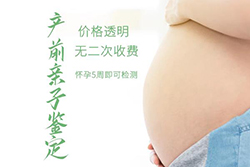 河北胎儿如何办理血缘检测，河北无创产前亲子鉴定大概多少钱