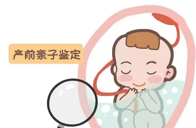 河北孕期亲子鉴定如何办理,河北孕期亲子鉴定出结果时间