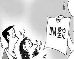 河北户籍亲子鉴定在哪，河北上户口亲子鉴定收费明细