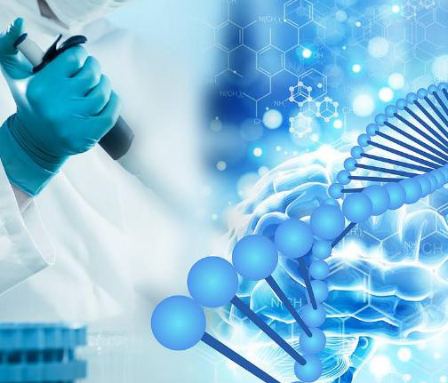 河北医院做DNA鉴定需要生物检材有哪些,河北医院办理亲子鉴定出结果时间